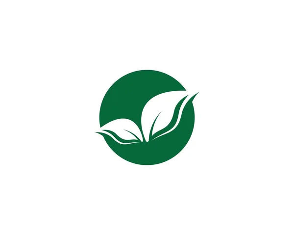 Ikona Wektora Symbolu Liścia Ilustracja — Wektor stockowy