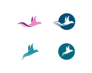 Hummingbird logo şablonu vektör resimleme tasarımı