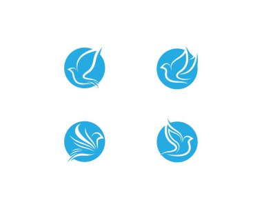 Dove Logo Şablonu vektör resimleme tasarımı