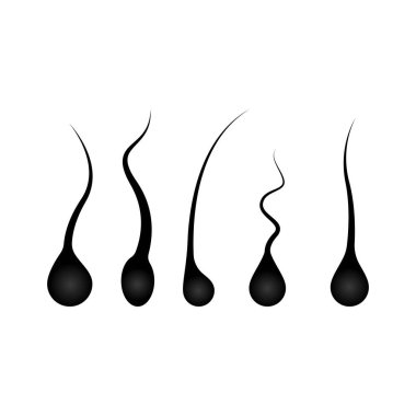 Kuaför logo şablonu vektör resimleme tasarımı