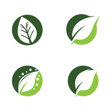 Yeşil yapraklı ekoloji doğa element ikonu logoları