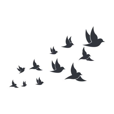 Dove Logo Şablonu vektör resimleme tasarımı