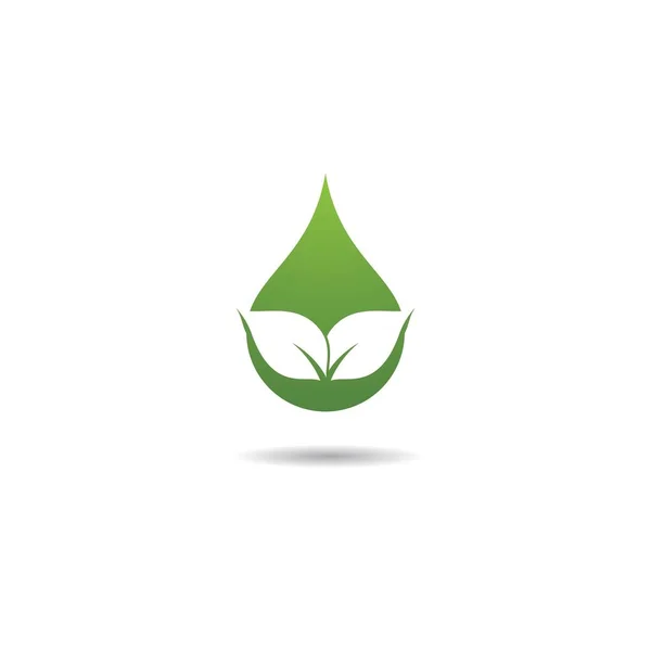 Green Drop Logo Template Vector Icon Illustration Design — Stock Vector