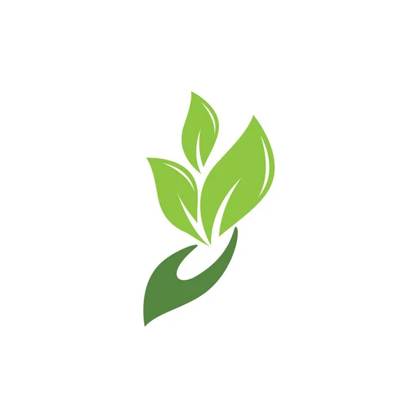 Logotipos Folha Verde Ecologia Elemento Natureza Vetor Ícone — Vetor de Stock