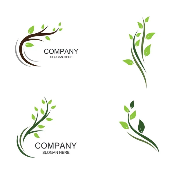 Logos Von Grünen Blättern Ökologie Naturelement Vektor Symbol — Stockvektor