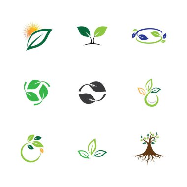 Yaprak sembolü vektör illüstrasyonu