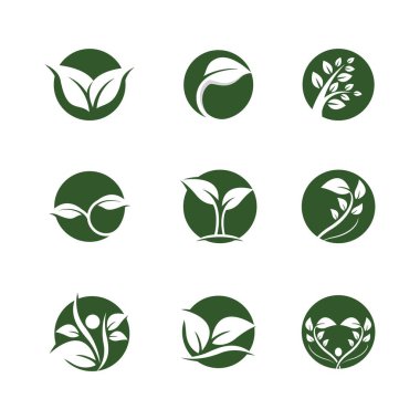 Yaprak sembolü vektör illüstrasyonu