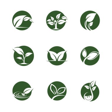 Yaprak sembolü vektör illüstrasyonu