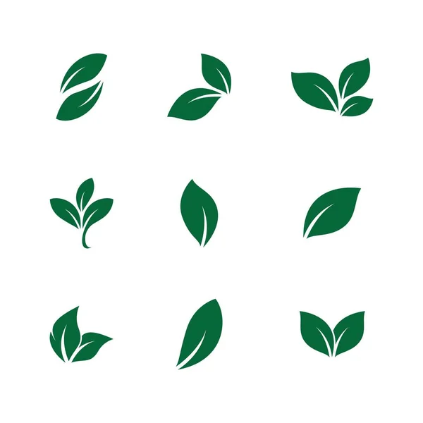 Leaf Symbol Vector Icon Illustration — Stock Vector