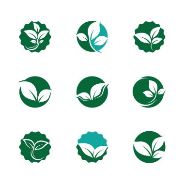 Yaprak sembolü vektör illüstrasyonu