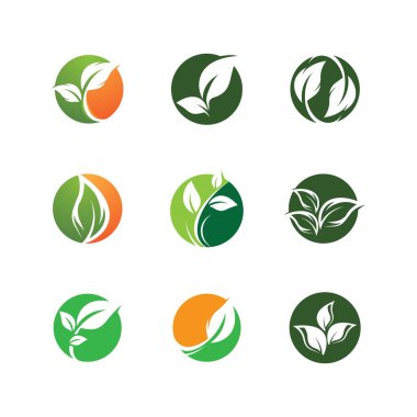 Yaprak sembolü vektör illüstrasyonu