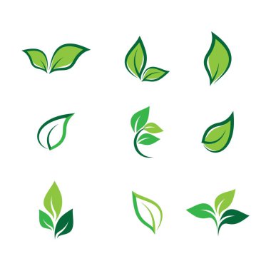 Yaprak sembolü vektör illüstrasyonu