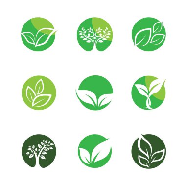 Yaprak sembolü vektör illüstrasyonu