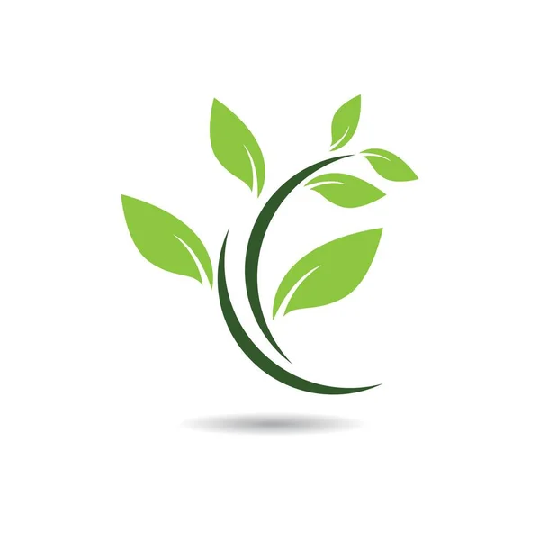 Yaprak sembolü vektör illüstrasyonu