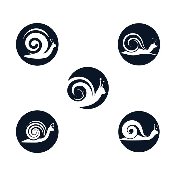Snail Vector Icon Illustration Design — Stock Vector