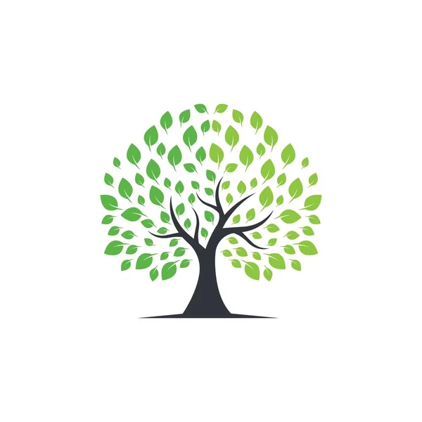 Ikona Wektora Symbolu Drzewa Ilustracja — Wektor stockowy