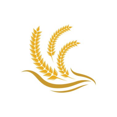 Buğday vektörü resimleme tasarımı