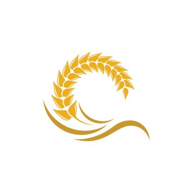 Buğday vektörü resimleme tasarımı