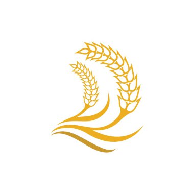 Buğday vektörü resimleme tasarımı