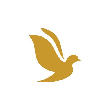 Dove logo resimleri çizimi tasarımı