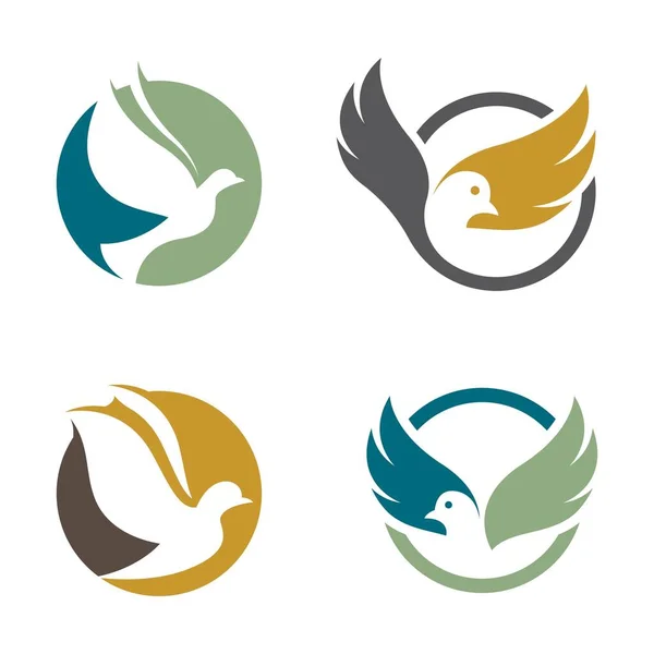 Diseño Ilustración Imágenes Logotipo Dove — Vector de stock