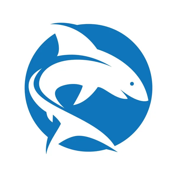 Hai Logo Bilder Illustration Design — Stockvektor