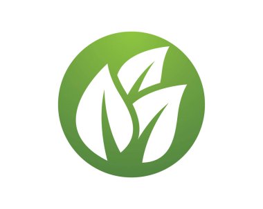 Yeşil yapraklı ekoloji doğa element ikonu logoları