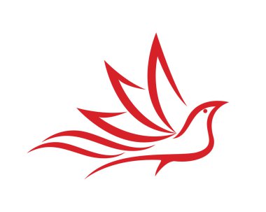 Dove Logo Şablonu vektör resimleme tasarımı