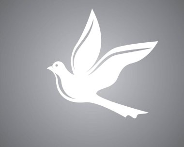Dove Logo Şablonu vektör resimleme tasarımı