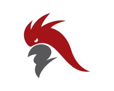 Rooster vektör resimleme tasarımı