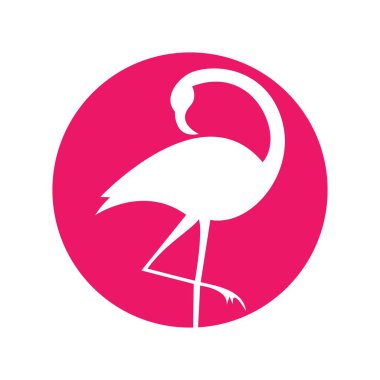 Flamingo logo resimleri çizimi tasarımı