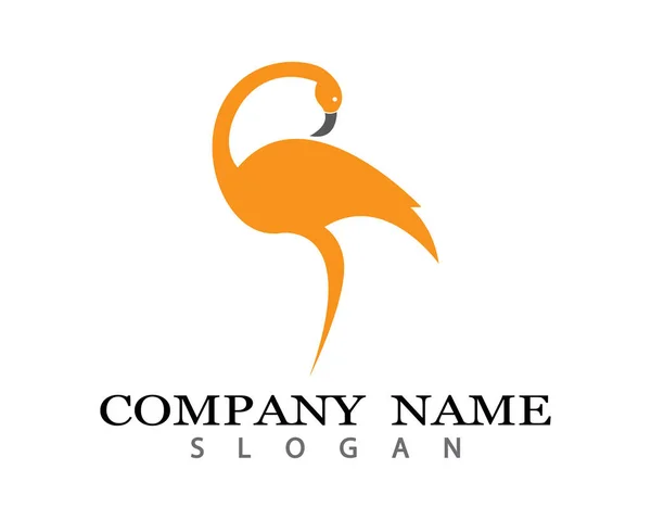 Flamingo Logotipo Modelo Vetor Ícone Ilustração Design — Vetor de Stock