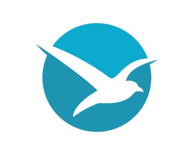 Martı logo şablonu vektör resimleme tasarımı