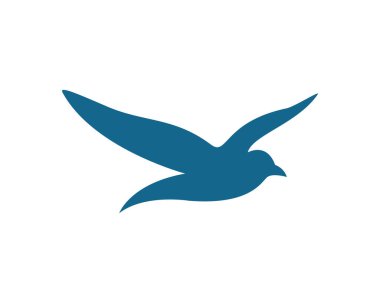 Martı logo şablonu vektör resimleme tasarımı