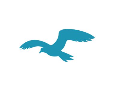 Martı logo şablonu vektör resimleme tasarımı