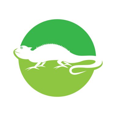 Bukalemun logo resimleri çizimi tasarımı