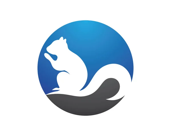 Esquilo Logotipo Modelo Vetor Ícone Ilustração Design —  Vetores de Stock