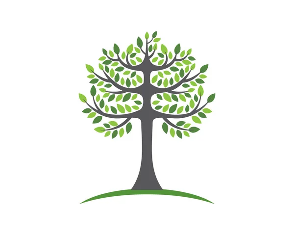 Ikona Wektora Drzewa Projekt Ilustracji — Wektor stockowy