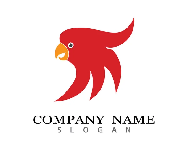Papagei Logo Vektor Illustration Design — Stockvektor
