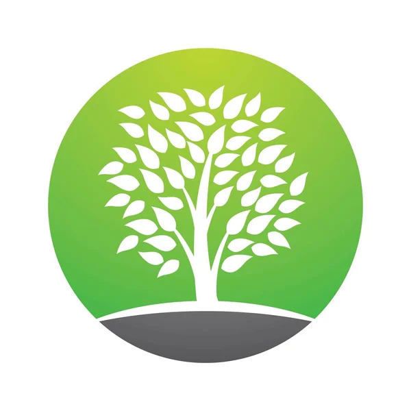 Árvore Logotipo Imagens Design Ilustração — Vetor de Stock