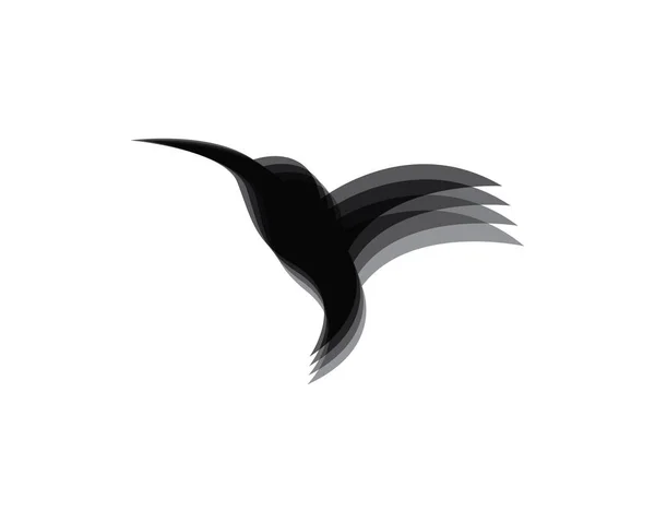 Modèle Logo Colibri Icône Vectorielle Illustration Design — Image vectorielle