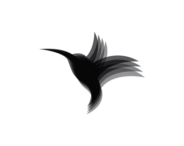 Modèle Logo Colibri Icône Vectorielle Illustration Design — Image vectorielle