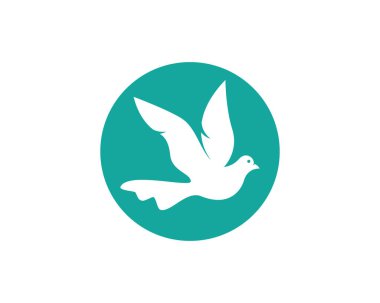 Dove Logo Şablonu vektör resimleme tasarımı