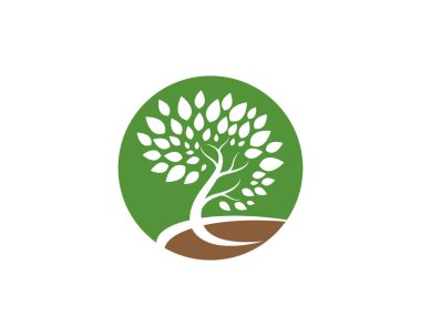Ağaç logosu şablon vektör illüstrasyon tasarımı