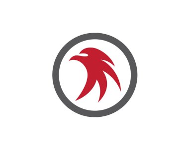 Falcon Logo Şablon vektör simgesi