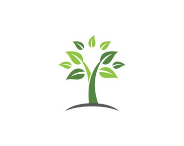 Ağaç logosu şablon vektör illüstrasyon tasarımı