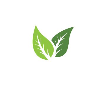 Yeşil yapraklı ekoloji doğa element ikonu logoları