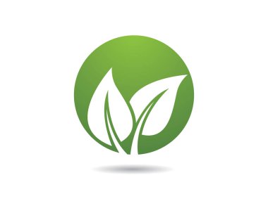 Yeşil yapraklı ekoloji doğa element ikonu logoları