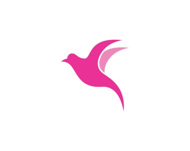 Hummingbird logo şablonu vektör resimleme tasarımı