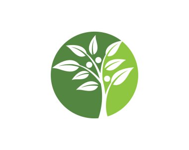Yeşil yapraklı ekoloji doğa element ikonu logoları